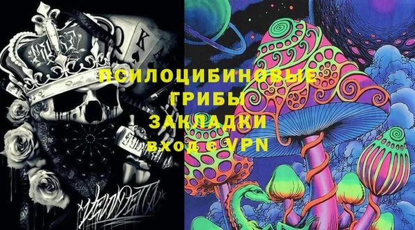 соль ск Медногорск
