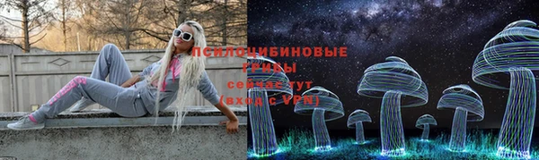 соль ск Медногорск