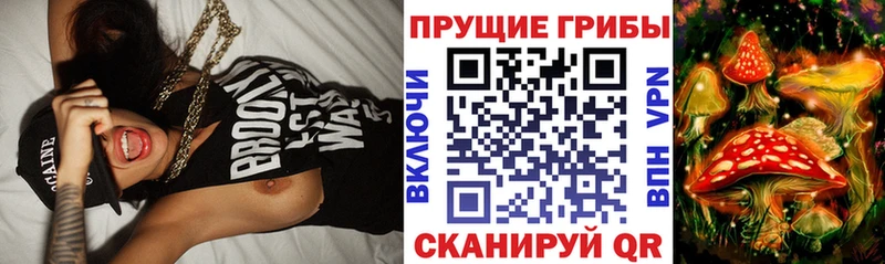 Галлюциногенные грибы GOLDEN TEACHER закладка Гаджиево